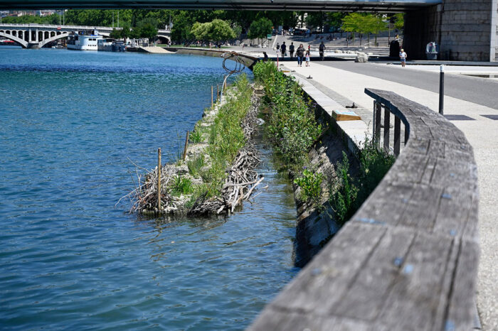 Des Espèces Parmi'Lyon