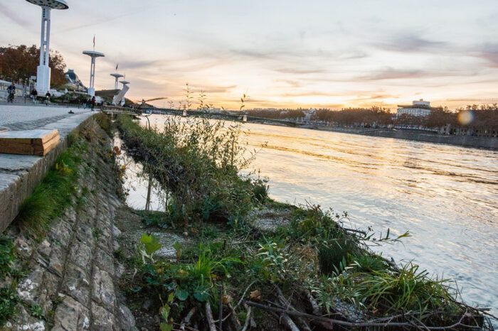 Des Espèces Parmi'Lyon